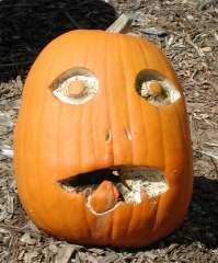 Tounge, Nipomo Pumpkin Patch best carving idea